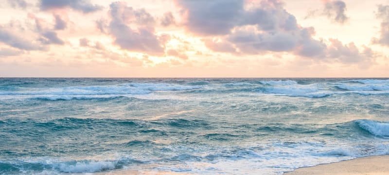 Boca Raton, Florida: A Blend of Shoreline Beauty, Culture, and Natural Discovery