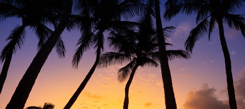 Notable Places to Discover Around Boca Raton, Florida, Palm Beach County