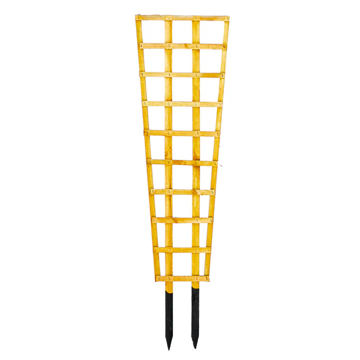 Trellis from R 180.00