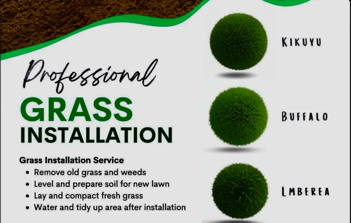 Roll on Lawns - Price on Quotation