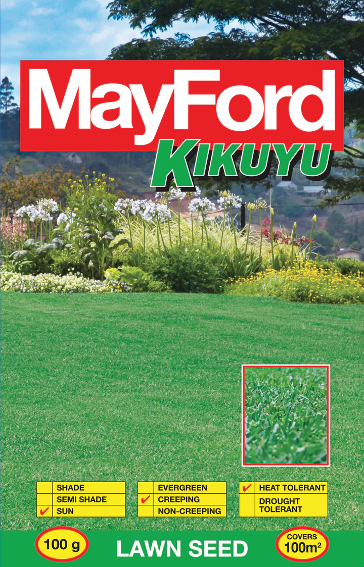 Kikuyu Whittet Seeds | Pennisetum Clandestinum 100g Packet R 670.00