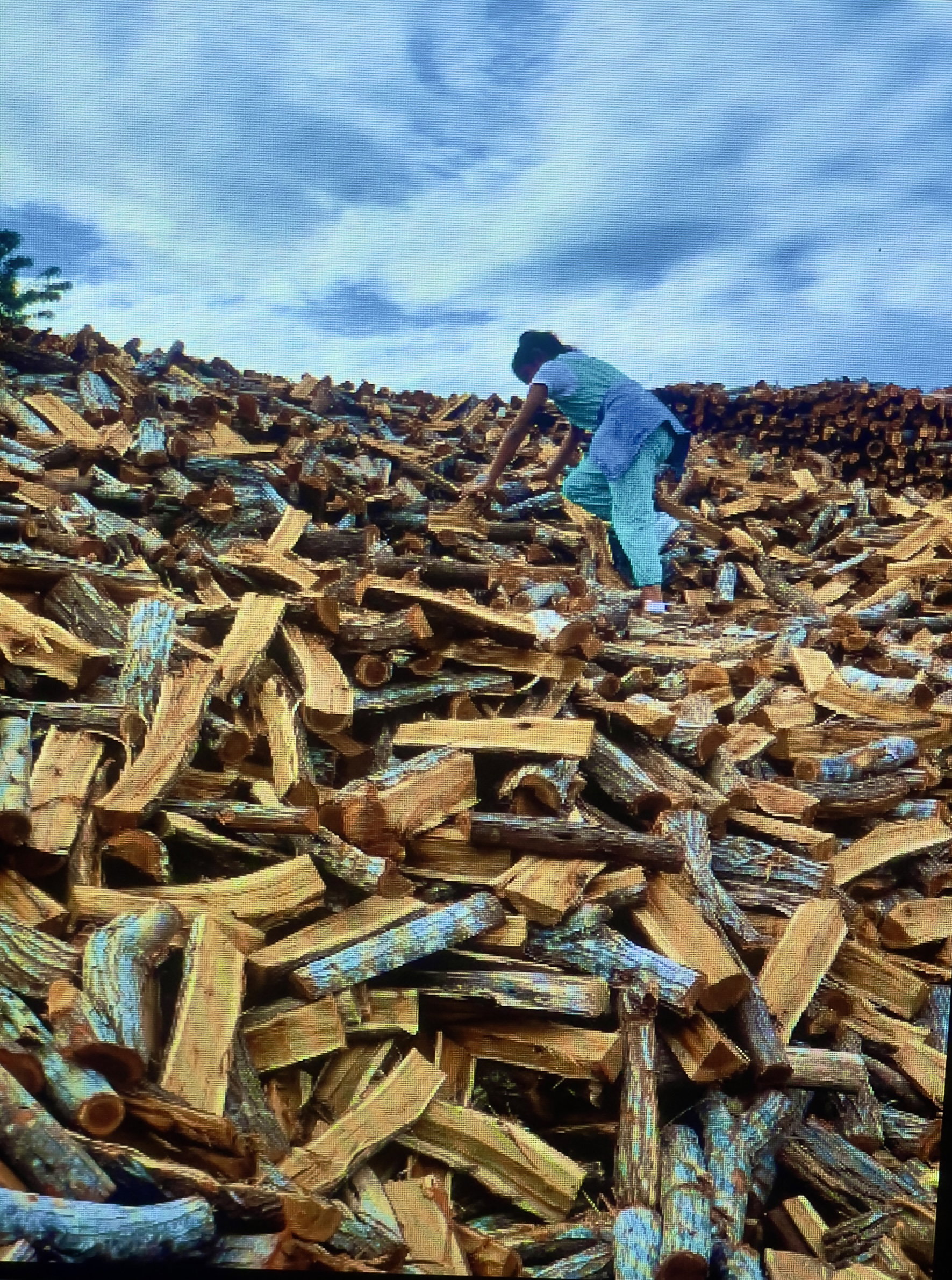 We Supply & Deliver Quality Thick Dry Chopped Wood - R 250.00 Per 100 Pieces