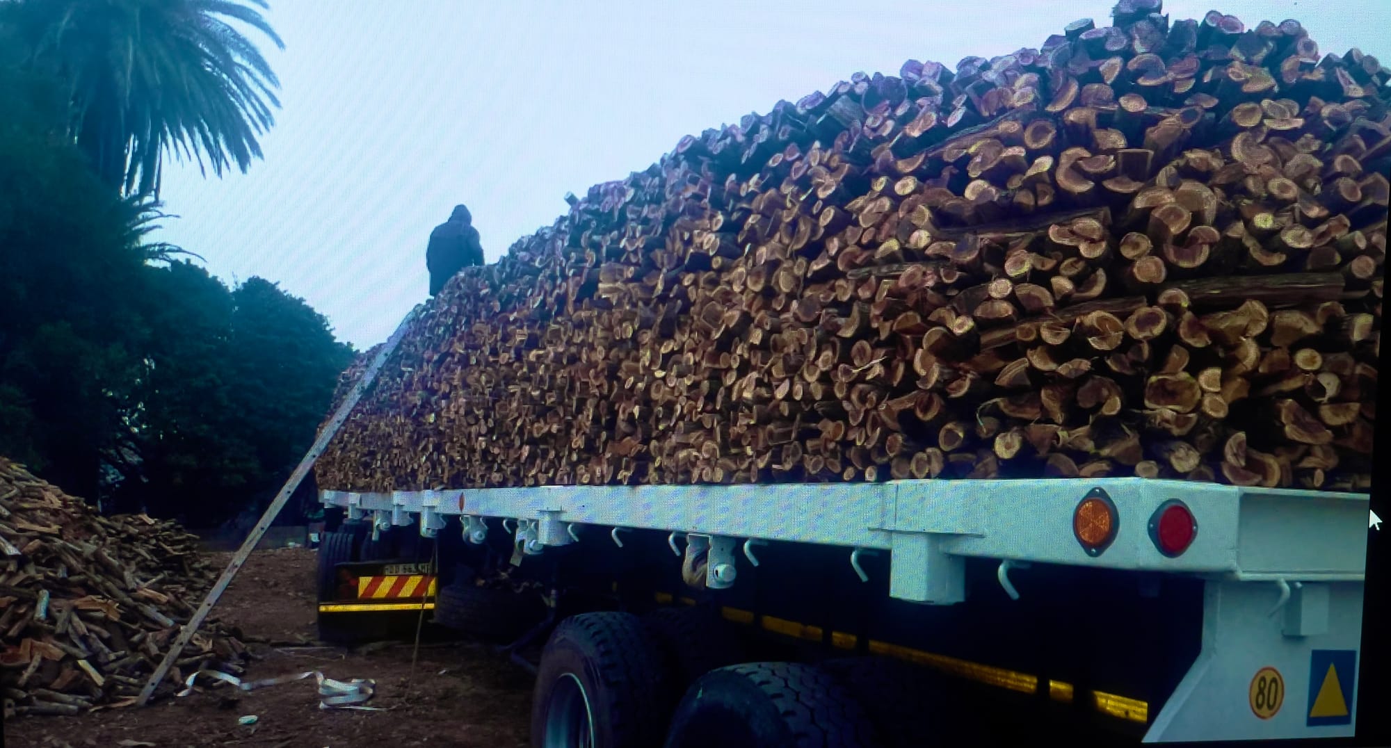 We Supply & Deliver Quality Thick Dry Chopped Wood - R 250.00 Per 100 Pieces
