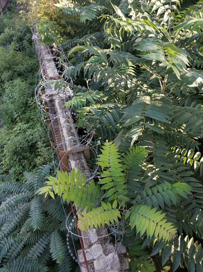 Clearance of Foliage & overgrowth around Electric Fencing