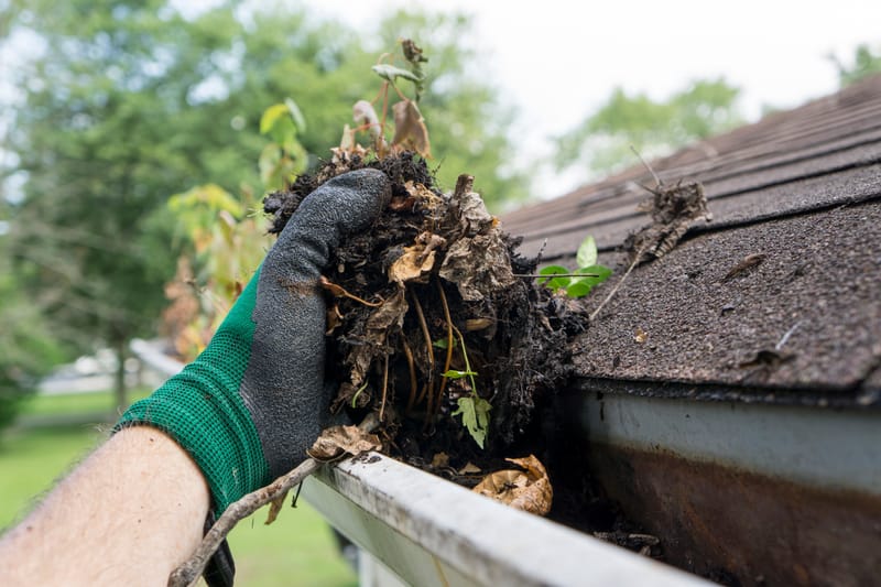 Roof & Gutters Cleaning Services -