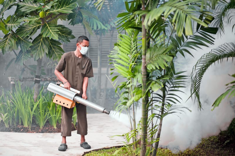 Controle de Mosquitos e Pernilongos