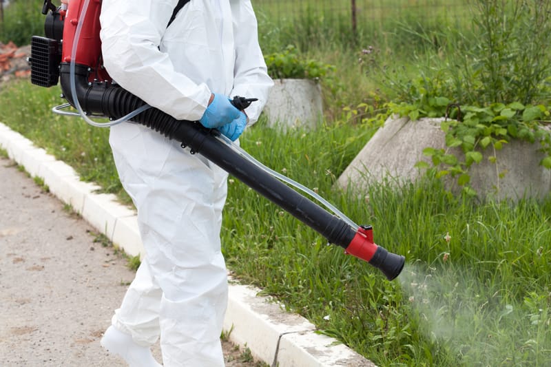Controle de Mosquitos e Pernilongos