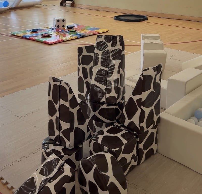 Giraffe Print Soft Play