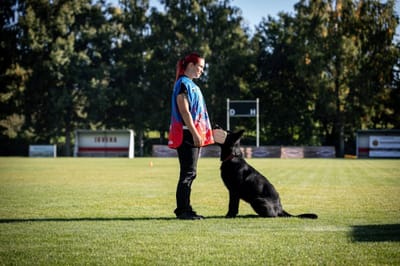 KAŽDÝ SI RÁD HRAJE A LUMPAČÍ
