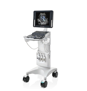 Whole body imaging