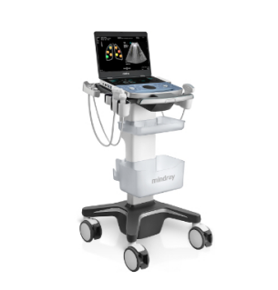 Clinical Ultrasound