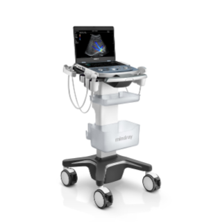 Clinical Ultrasound