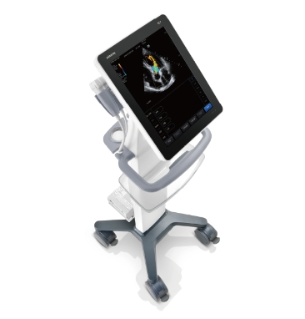 Clinical Ultrasound