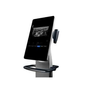 Clinical Ultrasound