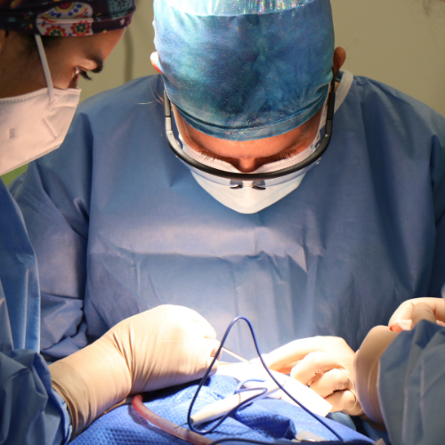 Trends Shaping Modern Aesthetic and Reconstructive Surgery