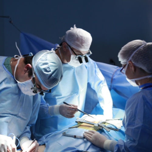 The Evolving Landscape of Aesthetic and Reconstructive Plastic Surgery