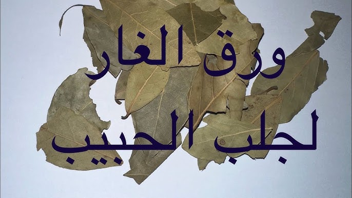 جلب الحبيب بورق الغار بين الموروث الشعبي وحقيقة العلاقات الإنسانية