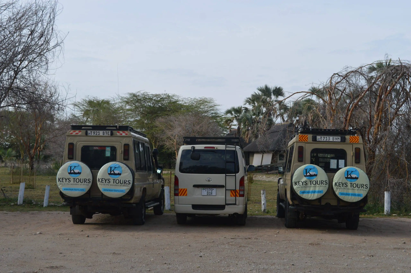 African Safari Tours Tanzania: The bottom line