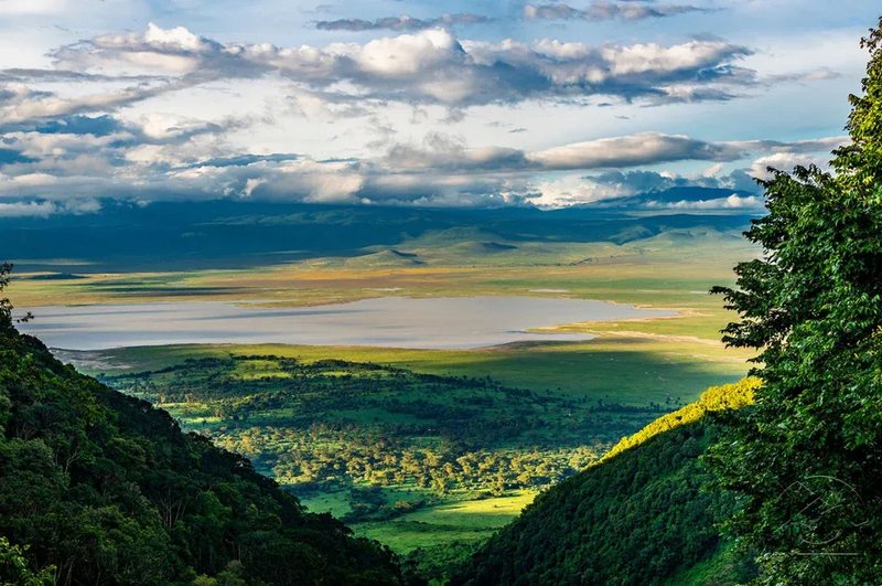 The Ultimate and Most Exciting Ngorongoro Crater Day Tour