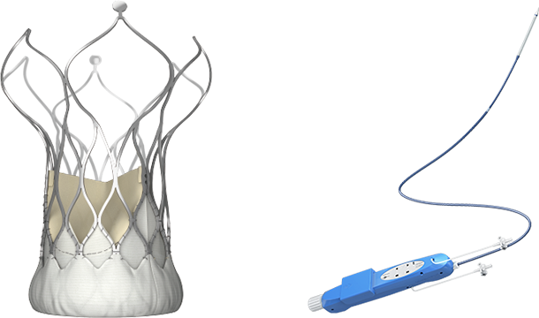 Transcatheter aortic valve system