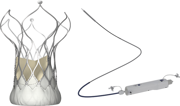 Transcatheter aortic valve system