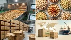 Makhana Contract Manufacturing: Build Your Brand with a Trusted White Label Makhana Manufacturer