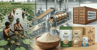 Choose a Reliable Wholesale Makhana Powder Supplier for Quality and Consistency
