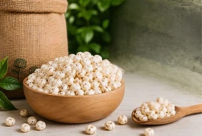 Discover Premium Makhana from a Trusted Indian Manufacturer
