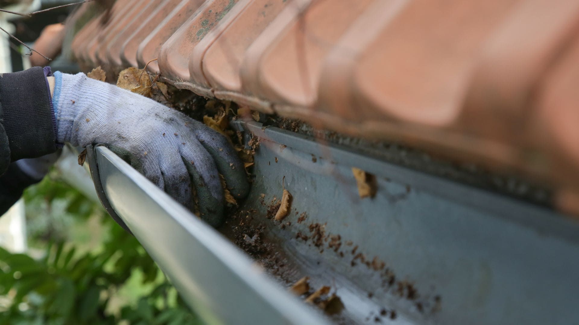 Gutter Cleaning