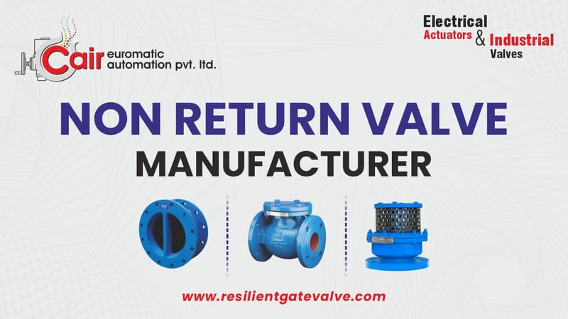 Non Return Valve Manufacturer in India