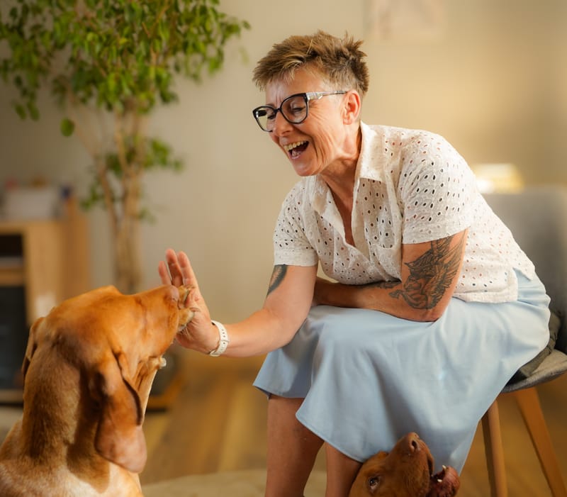 Therapiehunde