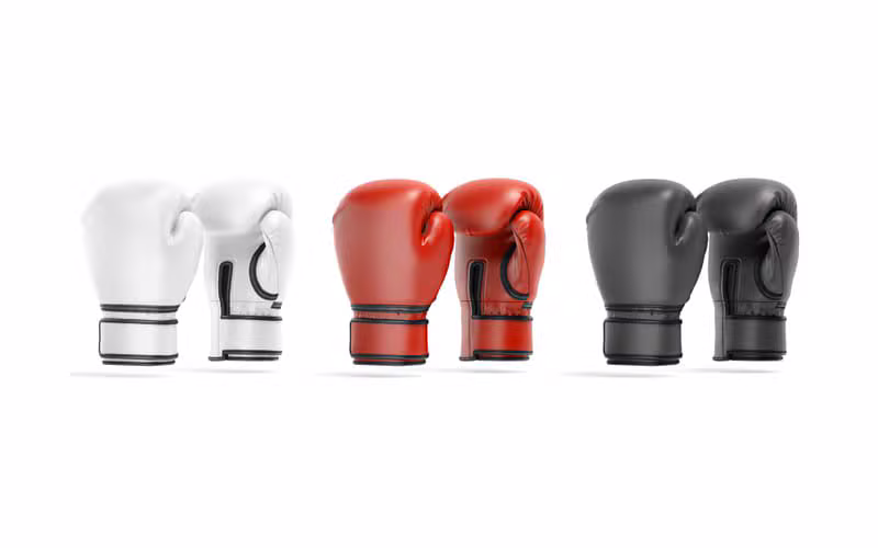 Professional boxing match in the ring