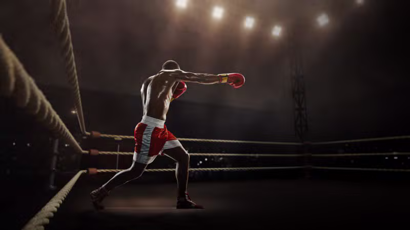 Professional boxing match in the ring
