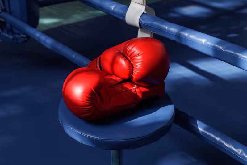 Boxing gloves resting on the canvas