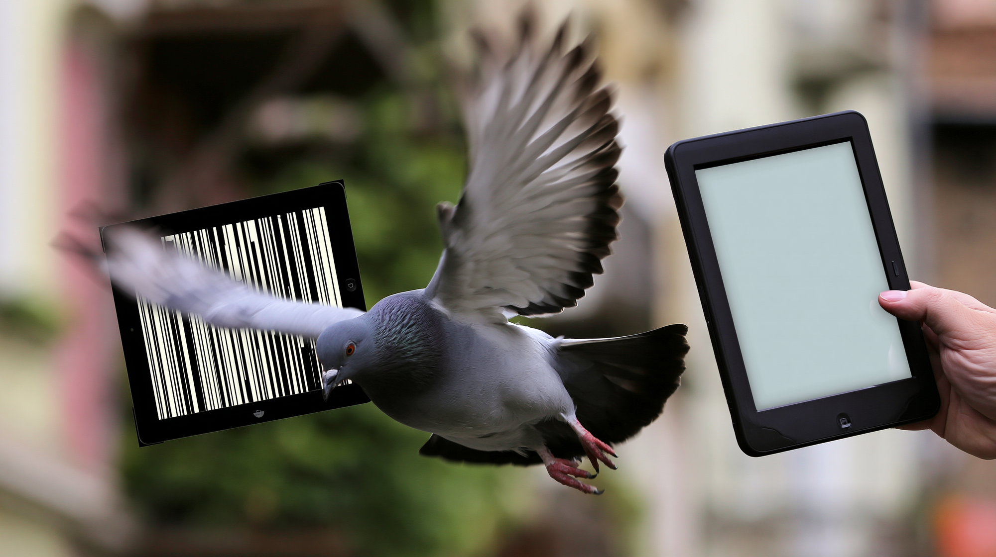 Azi 21 August 2026, s-a născut primul meu E-Book, pe raftul editurii Librăria Scriitorilor din Brăila