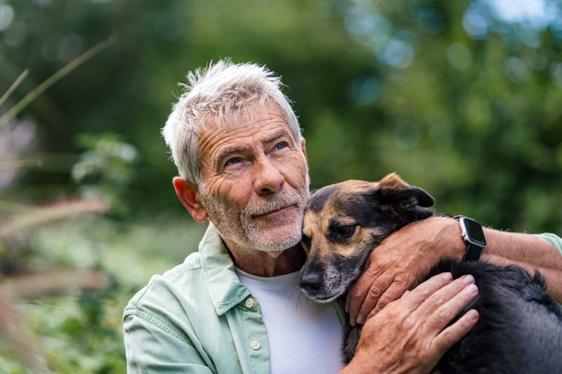 Emotional Support Animals: Benefits and Regulations