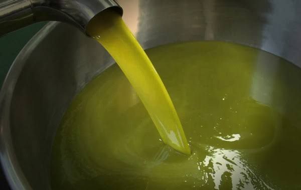 Immagine galleria per Oro Verde: le eccellenze dell'Olio Extravergine