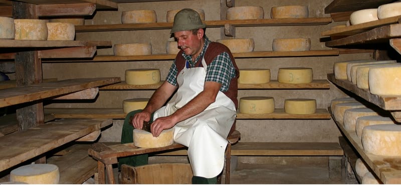 Immagine galleria per Formaggi Settembrini