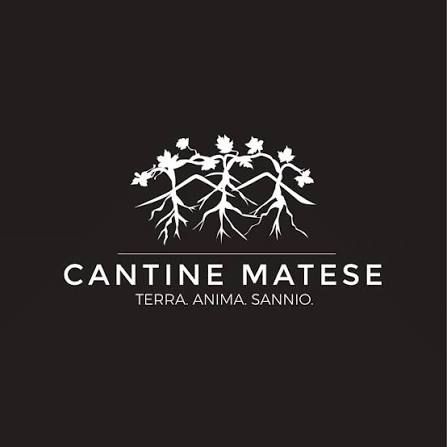 Radici, Passione e Futuro: Il volto di Cantine Matese
