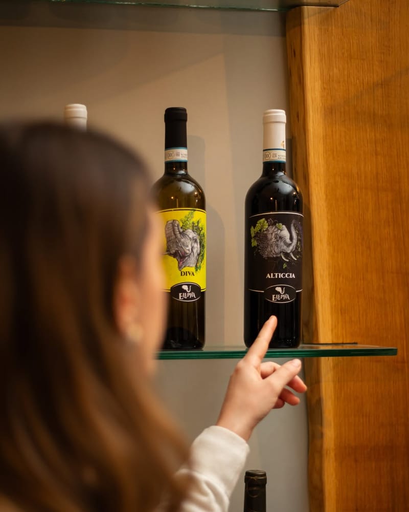 Immagine galleria per Radici, Passione e Futuro: Il volto di Cantine Matese