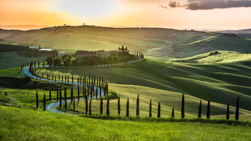 Paesaggio pittoresco di vigne italiane al tramonto