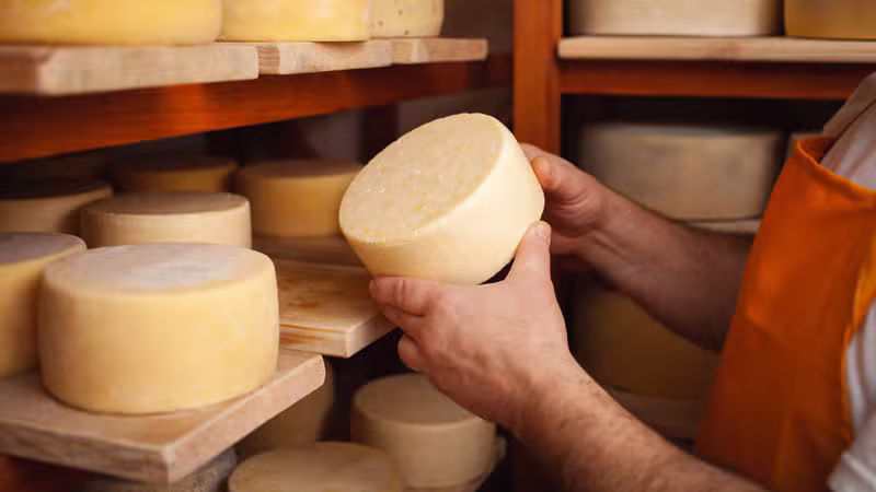 Immagine di La Tradizione Artigianale: Un Patrimonio da Scoprire