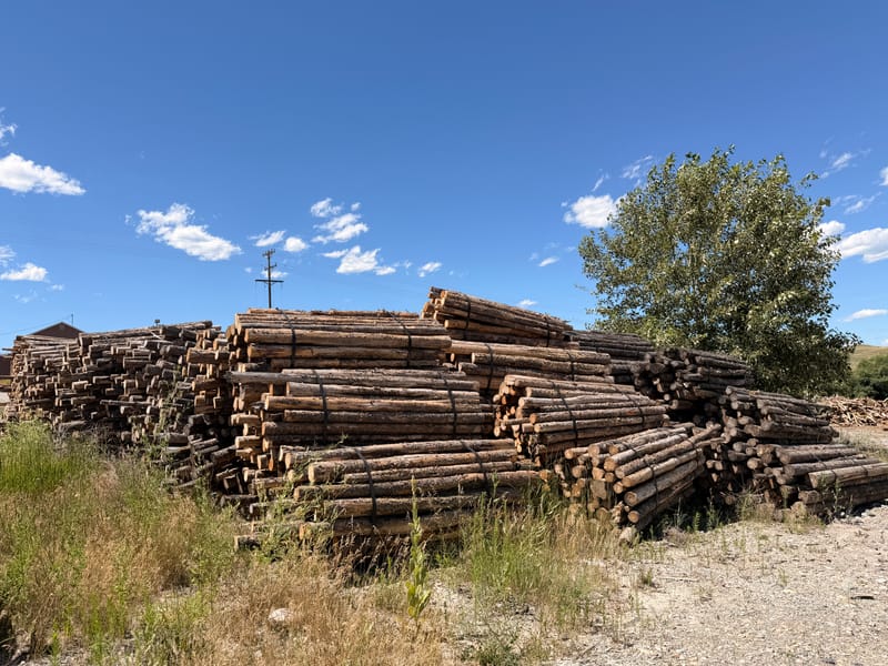 Firewood Bundles