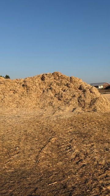 Woodchips