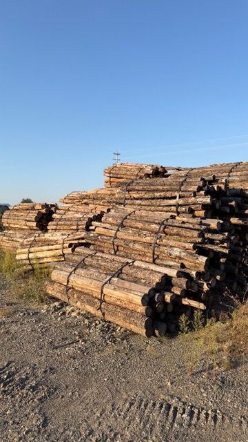 Firewood Bundles