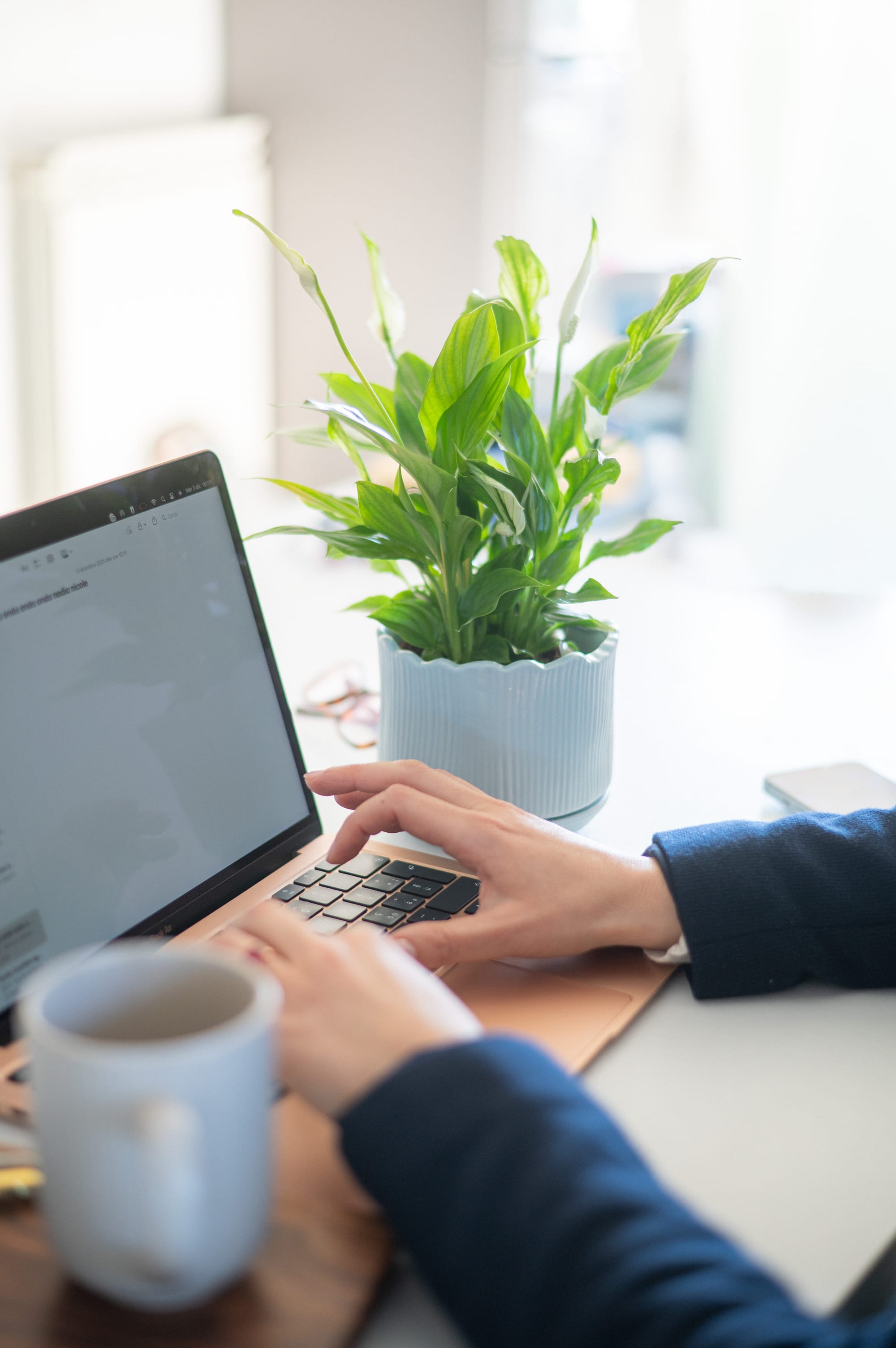 Quanto costa un social media manager freelance a Salerno