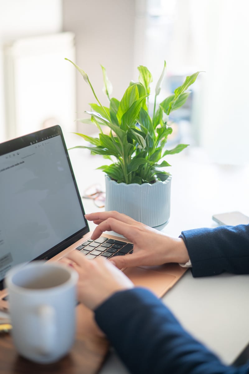 GESTIONE | INSTAGRAM, FACEBOOK, TIKTOK, LINKEDIN
