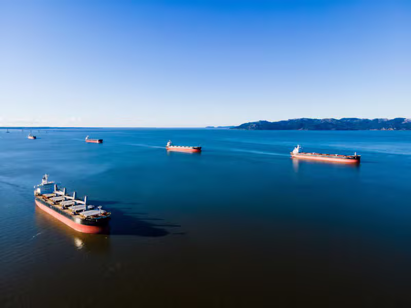 Bulk cargo shipment at port
