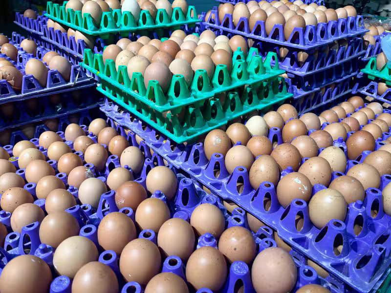 Fresh egg sourcing