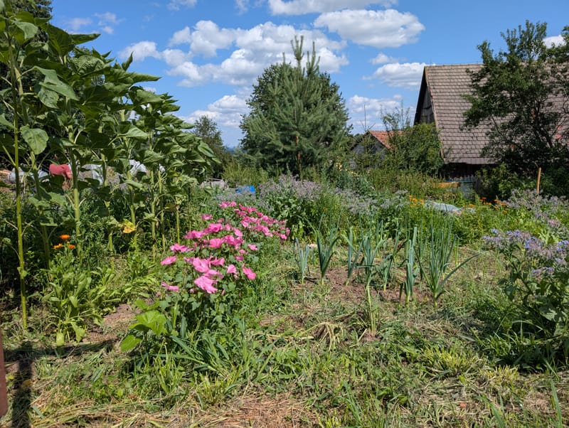Waldviertler Bauernhof